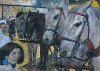 Tram Horses on Dam Square in Amsterdam