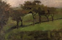 Willows in a meadow