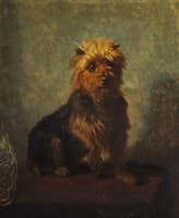 Chadwick’s Dog
