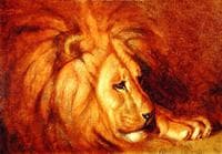 Lion at Rest