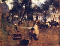 Gathering Olives