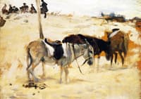 Donkeys in a Moroccan Landscape