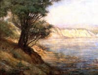 Ti-Tree at Beauaris