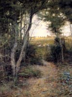 Ti-Tree Glade