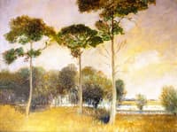 Persimmon Trees