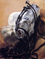 Head of Horse Wearing Bridle, Lying Down