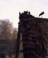 Thatched Roof with Storks' Nest