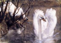 Two Swans