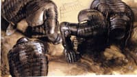 Cuirasses Lying Down