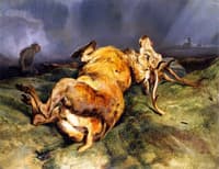 A Deer Just Shot