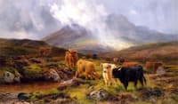 Through the Glen