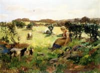 Summer in Galloway