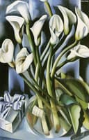 Calla Lillies