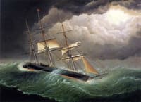 The "Young America" in a Storm