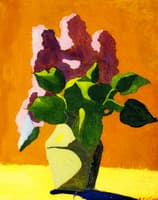 Lilacs