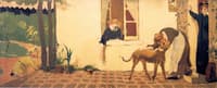 Stroking the Dog