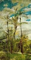 Palme