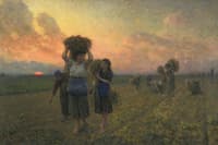 The Last Gleanings