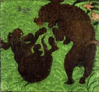 Two Poodles Playing