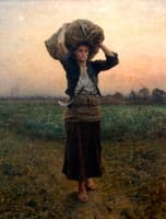 The Shepherd's Star