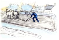 Ploughing