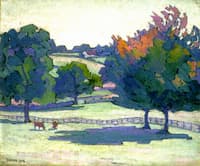 Maples at Cuckfield