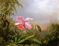 Two Hummingbirds by an Orchid