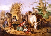 Gathering Corn in Virginia