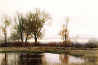 Winter Landscape