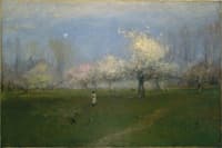 Spring Blossoms