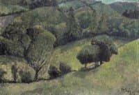 Paysage au vallon