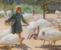 White turkeys