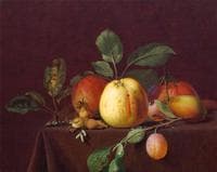 Autumn fruits and nuts on a table