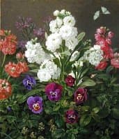 Still life of Phlox and Pansies