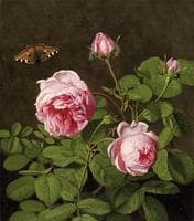 Still Life with Roses