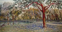 Le parc