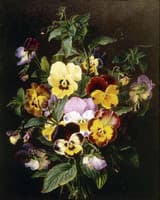 Pansies