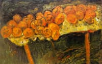 Still LIfe with Oranges