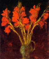 Gladiolas