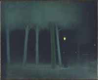 A park at night