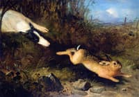 A Greyhound in Pursuit of a Hare