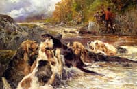 The Otter Hunt