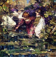The Swan Lake