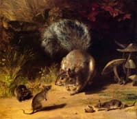 Squirrel and Mice
