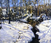 Winter Brook