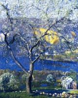Buds and Blossoms
