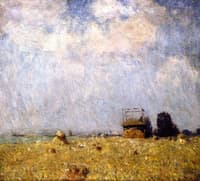 Summer Afternoon