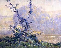 Opalescent Morning