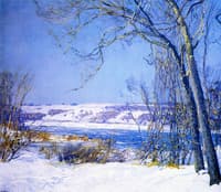 Sycamore and Birch