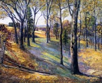 Autumn Trees
